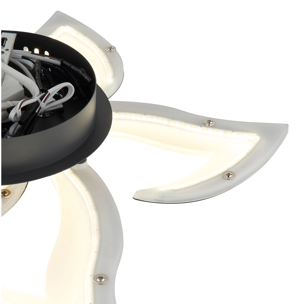 Design-Deckenlampe Lavonne Anthrazit Globo 9007371583485