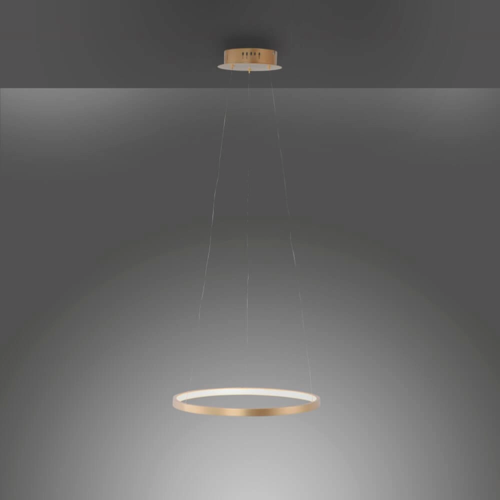 Runde Hängelampe Circle Gold Ø 39cm Just Light 4043689960391