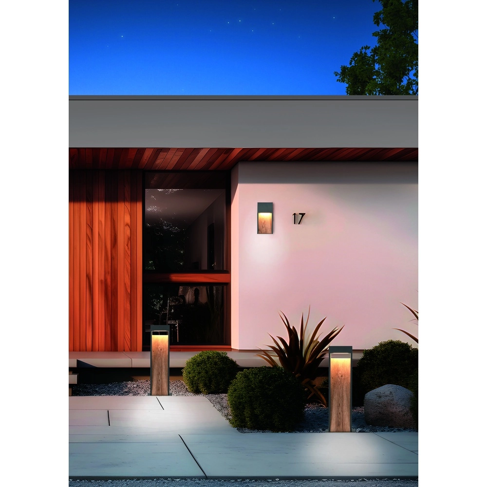 Design-Wandleuchte Salmon Grau mit Holz Trio 4017807603705