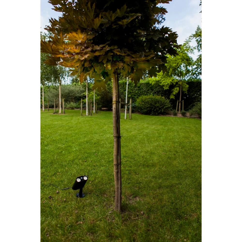 Solar-Erdspießstrahler für den Garten Bingo mit Bewegungsmelder Lutec 6939412089980