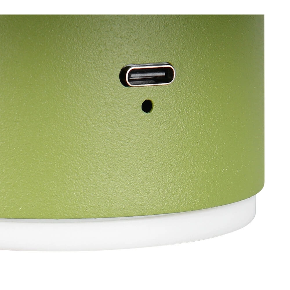 Grüne Wandleuchte Davey Ø 15cm Trio 4017807643824