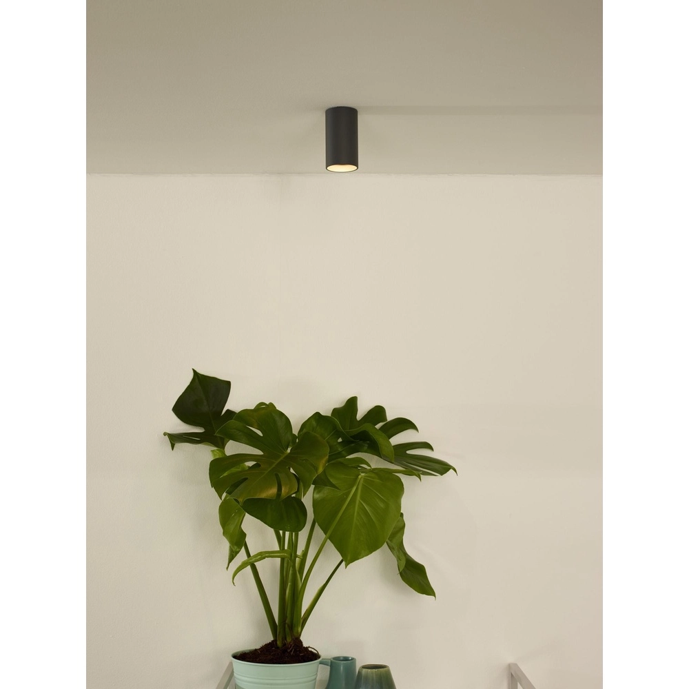Schlanker Oberflächenmontierter Spot Delto graue Ø 5,5 cm inkl. Lichtquelle Lucide 5411212092373