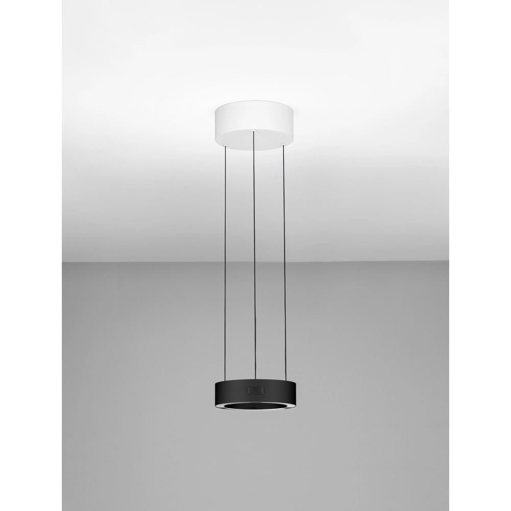Design-Pendelleuchte Afi schwarz Lyora 5212017463906