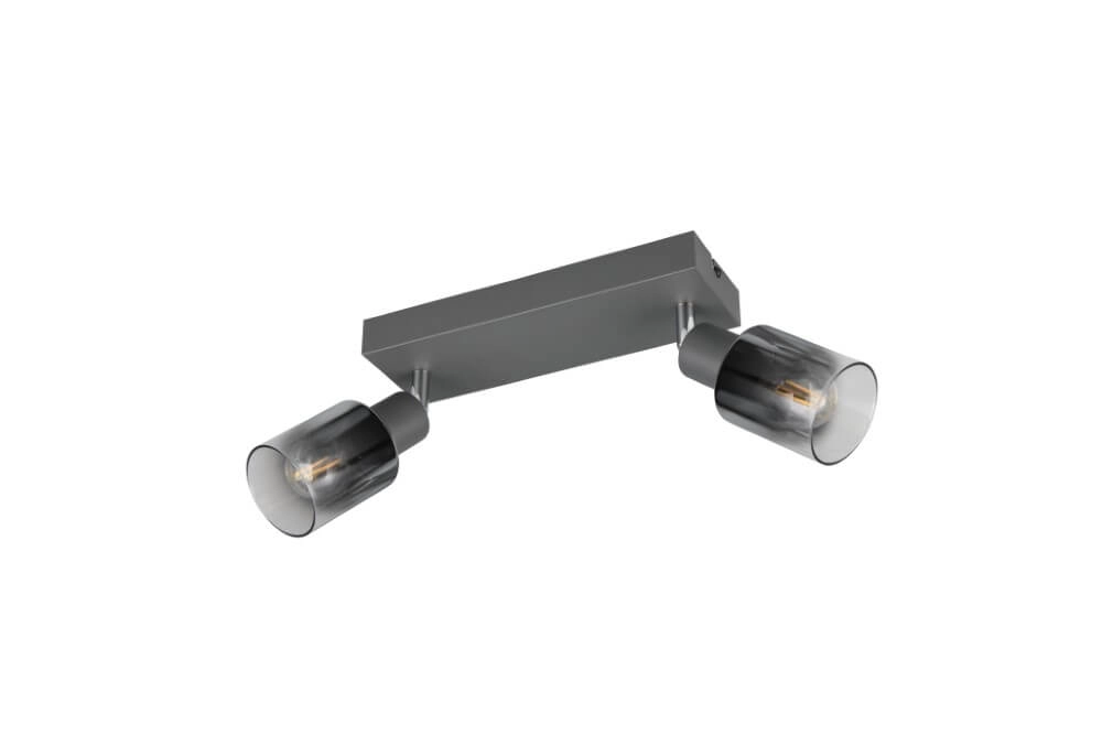 2-flammige Deckenleuchte Cadiz Schwarz Trio 4017807615760
