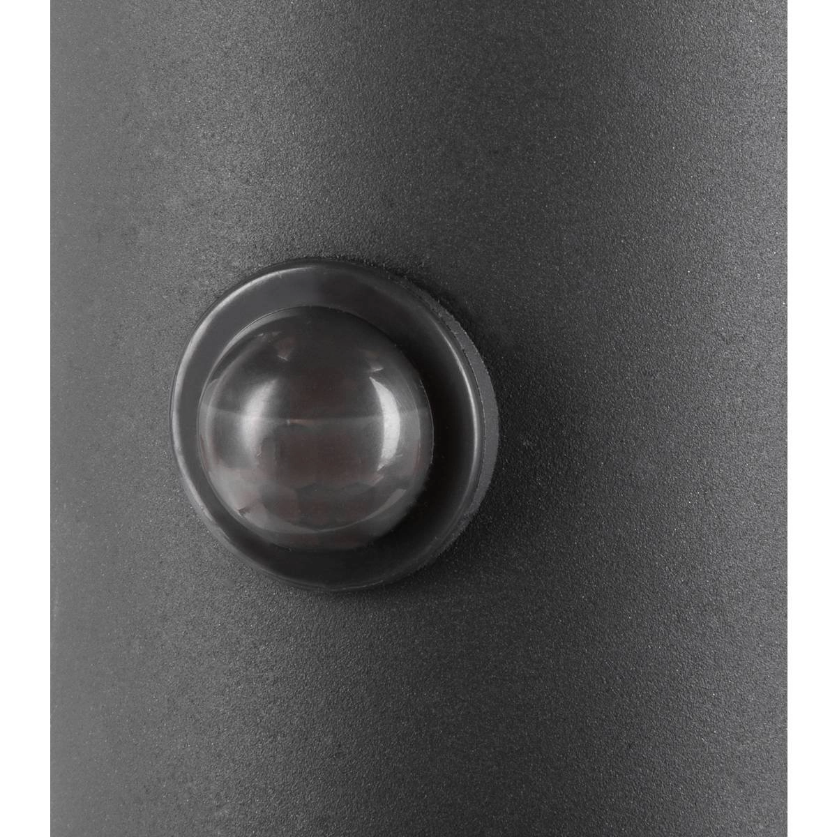 Außenlampe Ovalisk mit Bewegungssensor SLV 4024163248297