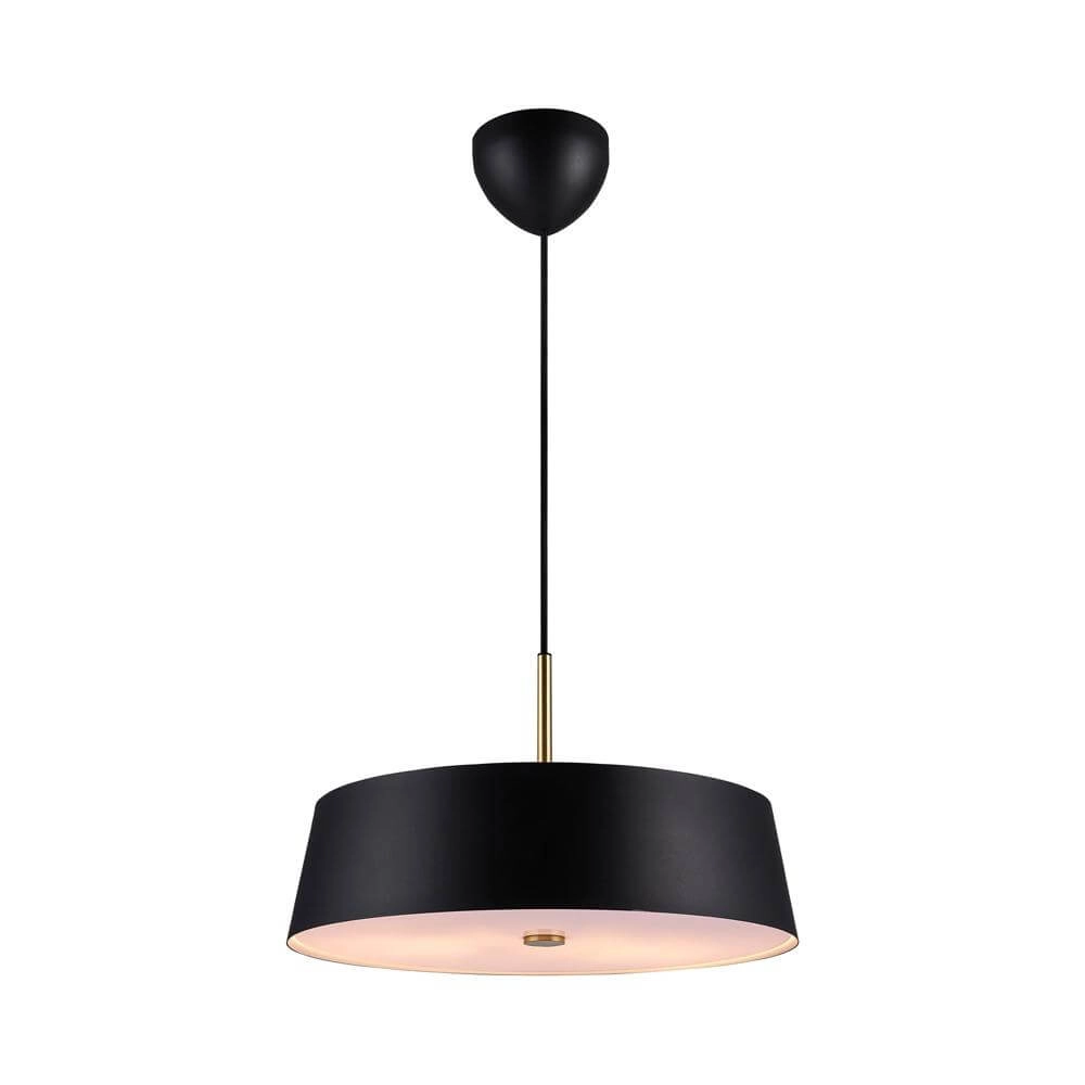 Schlanke Pendelleuchte Clasi schwarz Ø 45cm