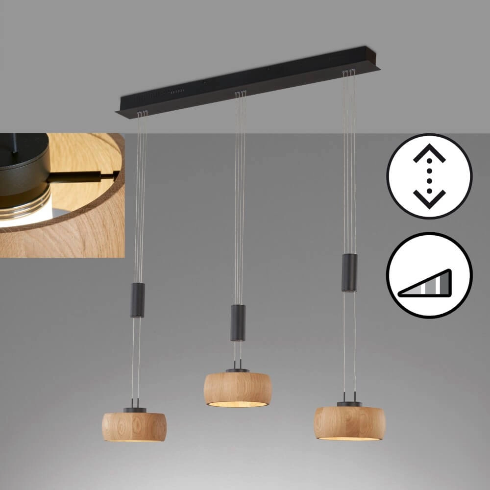 Hängelampe mit 3 Leuchten Shine-Wood Schwarz Fischer & Honsel 4003694610933