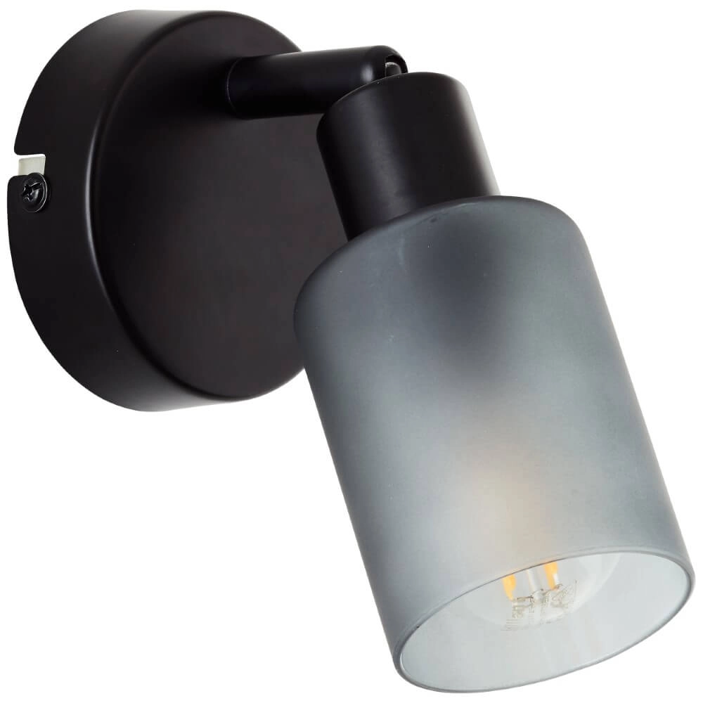 Schwarze Wandlampe Loralie Brilliant 4004353413223