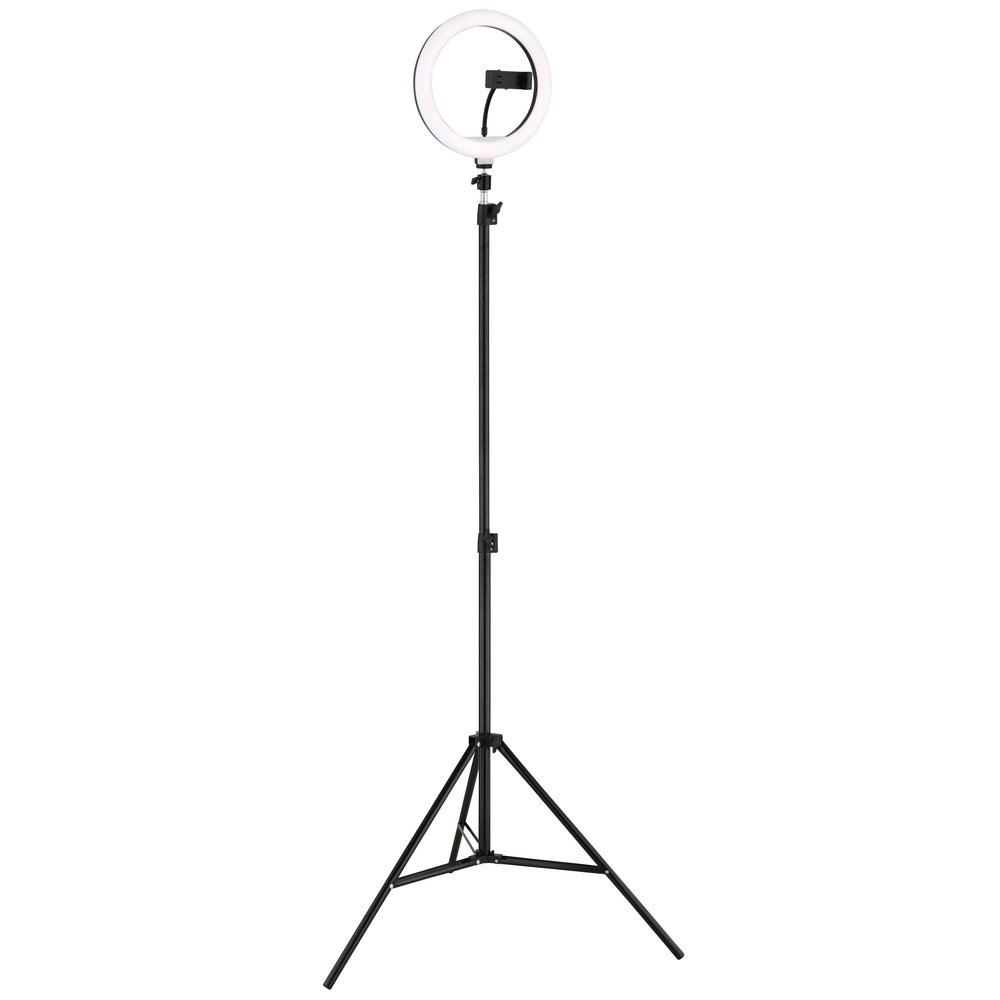 Ringlicht Delgado Schwarz Globo 9007371583454