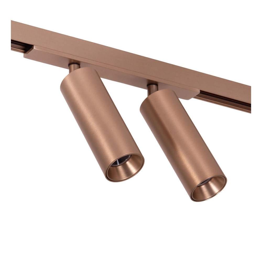 Einphasen-Gleis-Spot Linial Bixx Champagner Premium by Lucide 5411212552198
