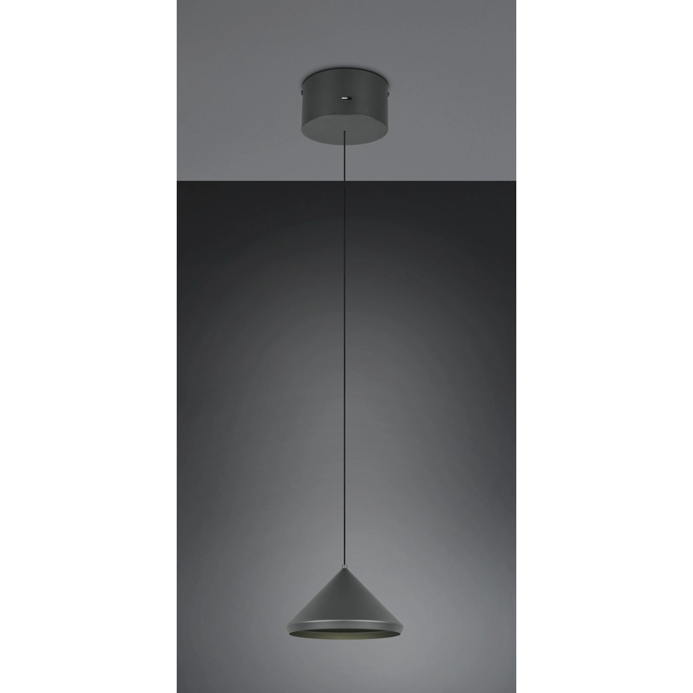 Moderne Pendelleuchte Laguna Ø 18cm schwarz Trio 4017807667608