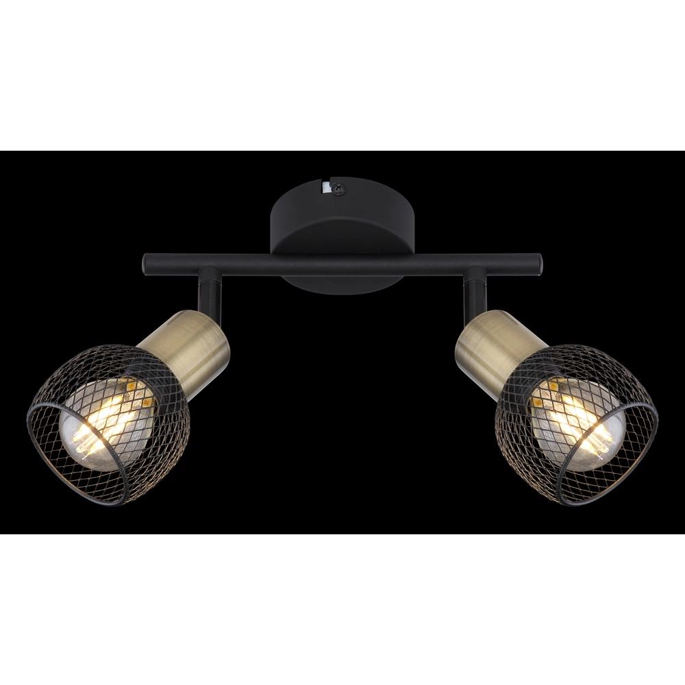 Deckenlampe Fiastra 2-Licht-Schwarz mit Mesh Globo 9007371415120