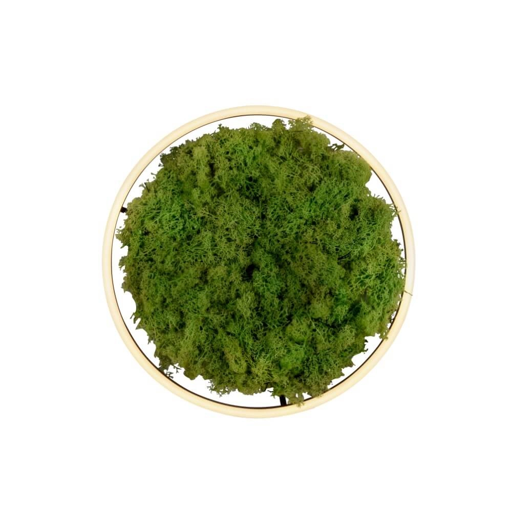 Deckenleuchte Green Ritus mit Moos Ø 39,3cm Just Light 4043689994792