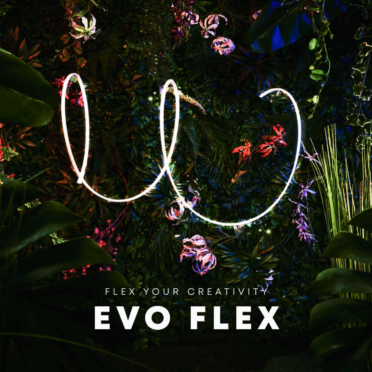 EVO FLEX 2 In-lite 8717051005350