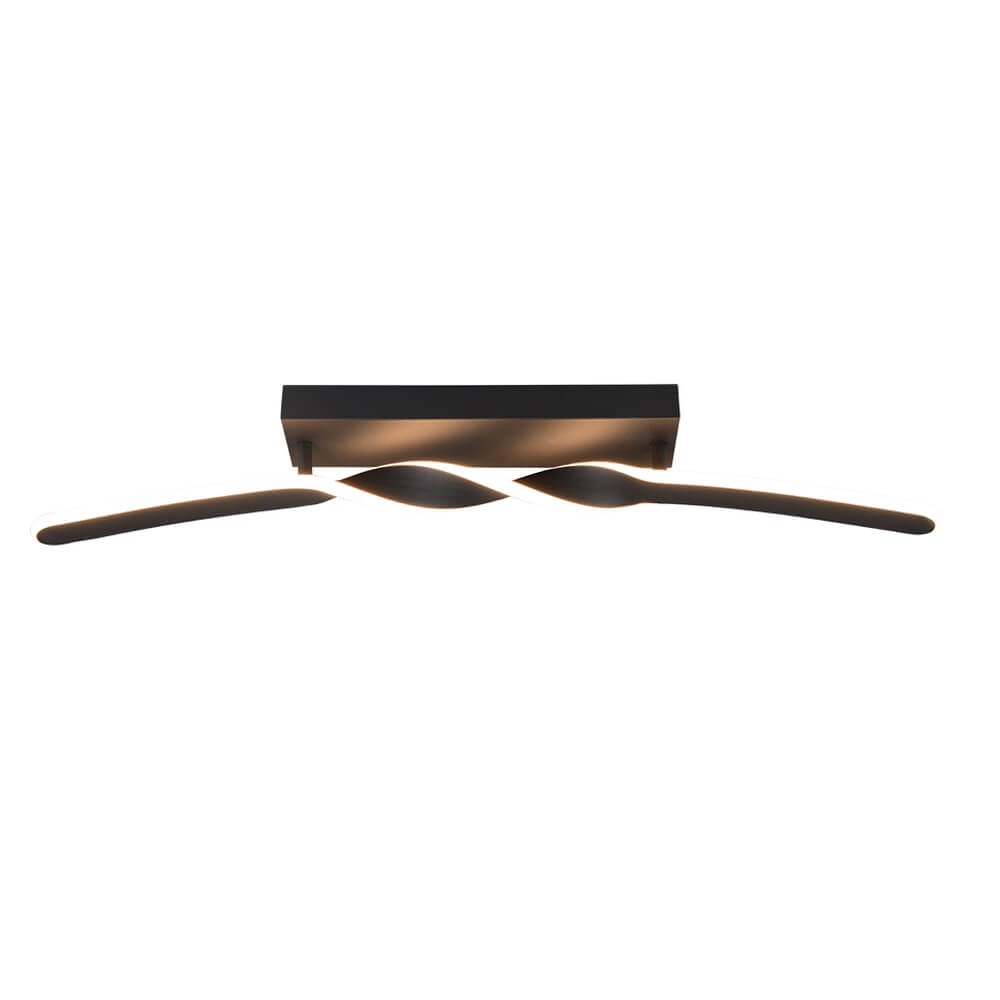 Design-Deckenleuchte Ginko schwarz Trio 4017807642520