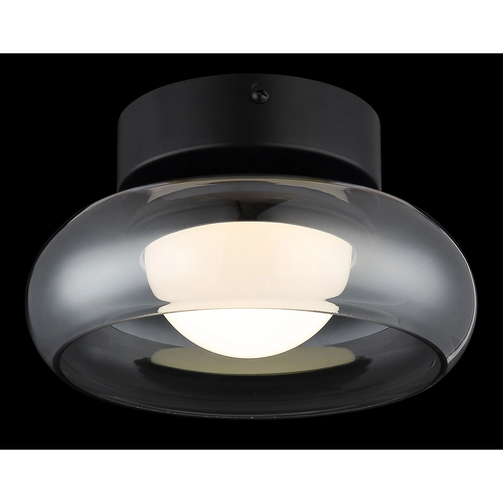 Design-Deckenlampe Carlene Schwarz Globo 9007371566174
