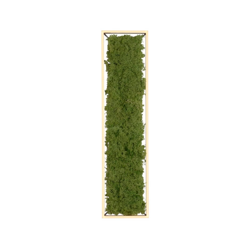 Rechteckige Deckenleuchte Green Knut mit Moos Just Light 4043689994846