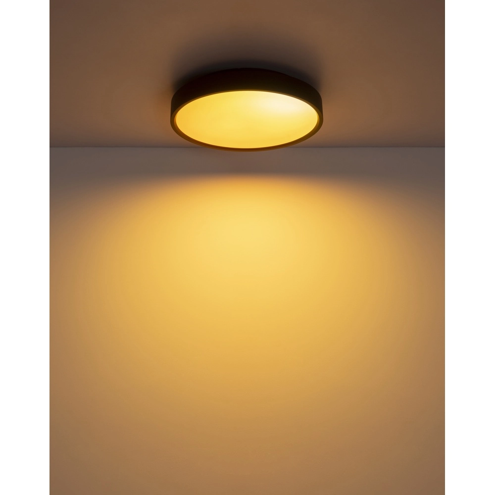 Deckenlicht Jess Schwarz Globo 9007371592470