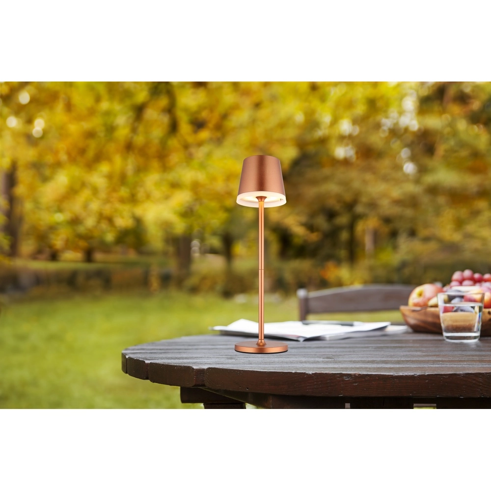 Solartischlampe Vannieso Champagner Globo 9007371487356
