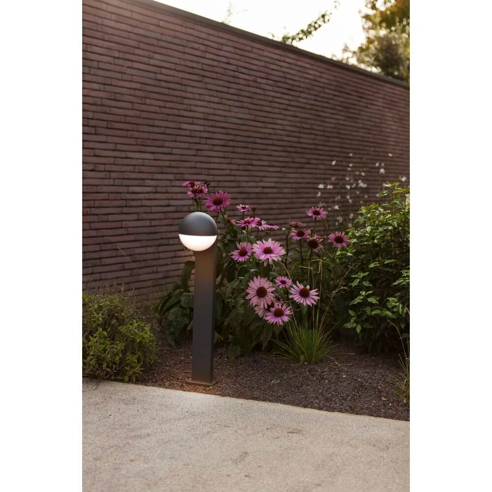 Beleuchtung des Glühlampenpfads Looma Lutec 6939412070957
