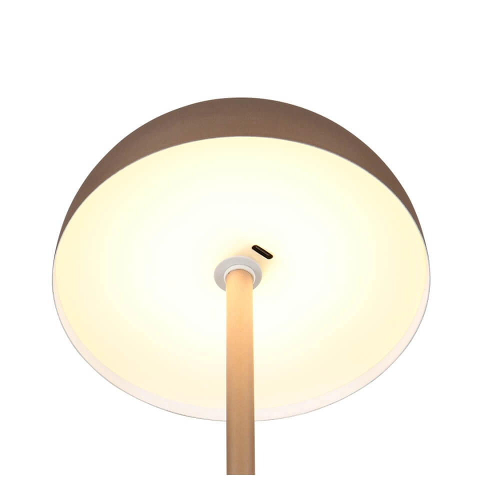 Tischlampe Munoz kaffeebraun Ø 13cm Trio 4017807642537