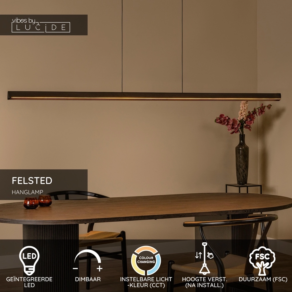 Design-Pendellampe Felsted Schwarz 180 cm Lucide Vibes 5411212011077