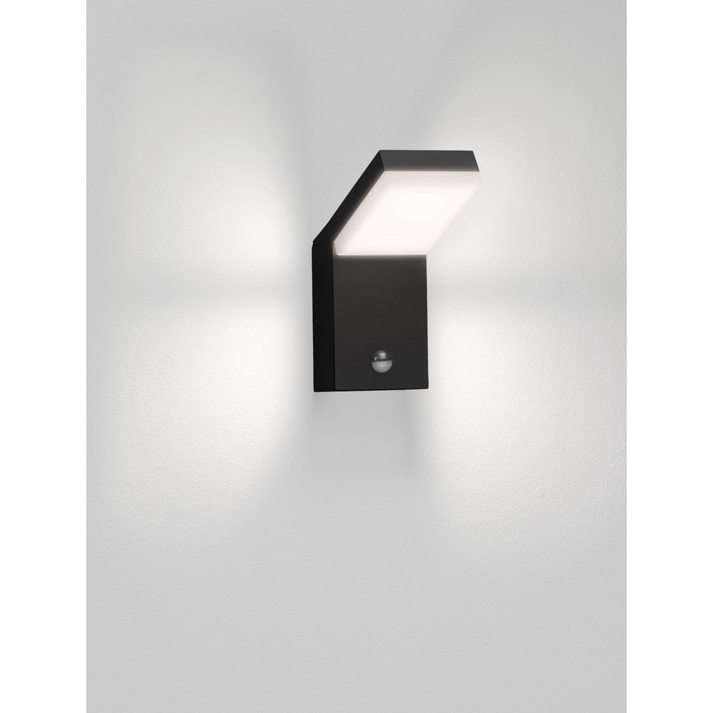 Wandleuchte Farge anthrazit mit Sensor Lyora 5212017476654