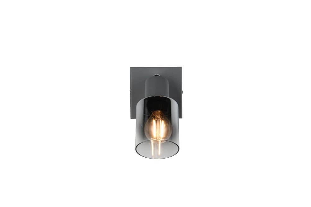 Schwarze Wandlampe Cadiz mit Rauchglas Trio 4017807615753