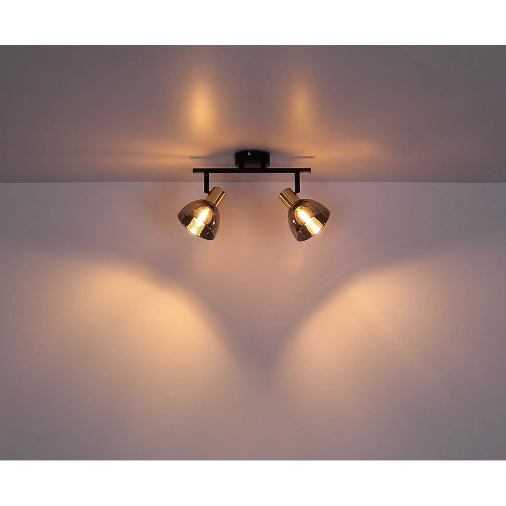 Design-Deckenlampe Jay 2-Licht schwarz mit Rauch Globo 9007371396399