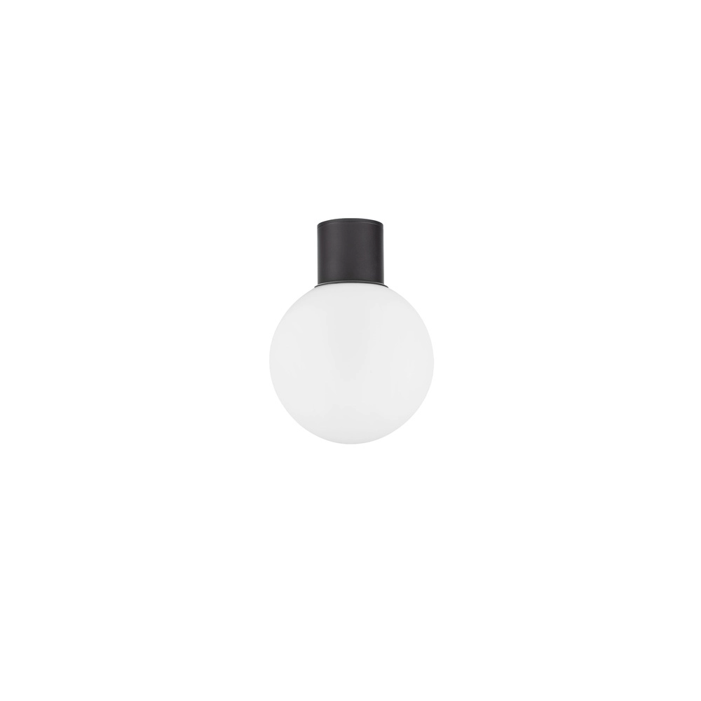 Deckenlampe Spix anthrazit mit weißem konvexem Glas Lyora 5212017476432