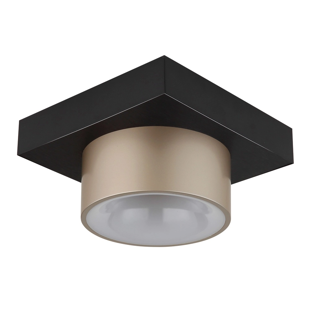 Deckenlampe Raymond schwarz mit Champagner Globo 9007371569373