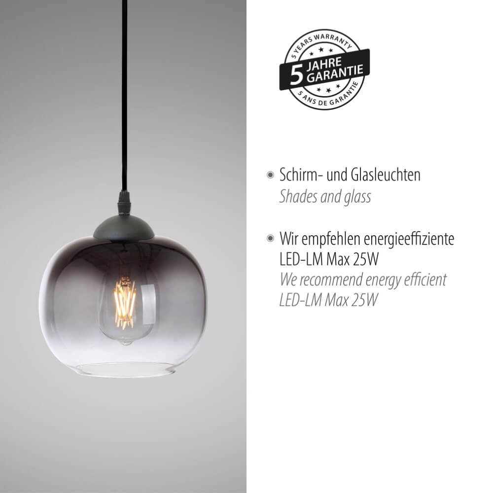 Schwarze Hängelampe Zea einzel Just Light 4043689993740