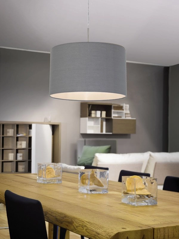 Pendelleuchte Pasteri 38 cm grau Eglo 9002759315733
