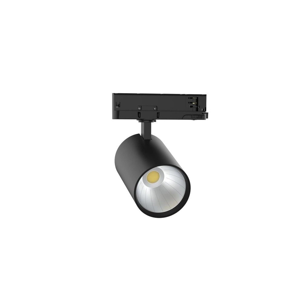 Schwarz Trackspot für Schiene 3-phasig 17W - 3000K - 60°
