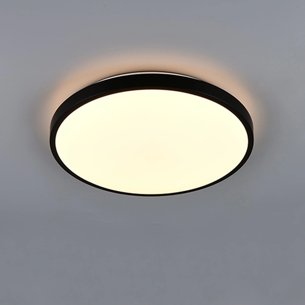 Deckenlicht Slope Schwarz Trio 4017807668643