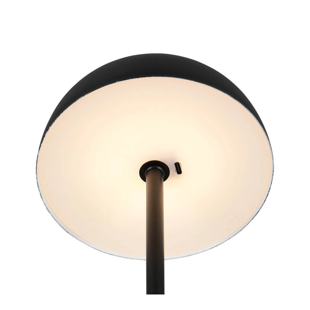 Tischlampe Munoz schwarz Ø 13cm Trio 4017807640830