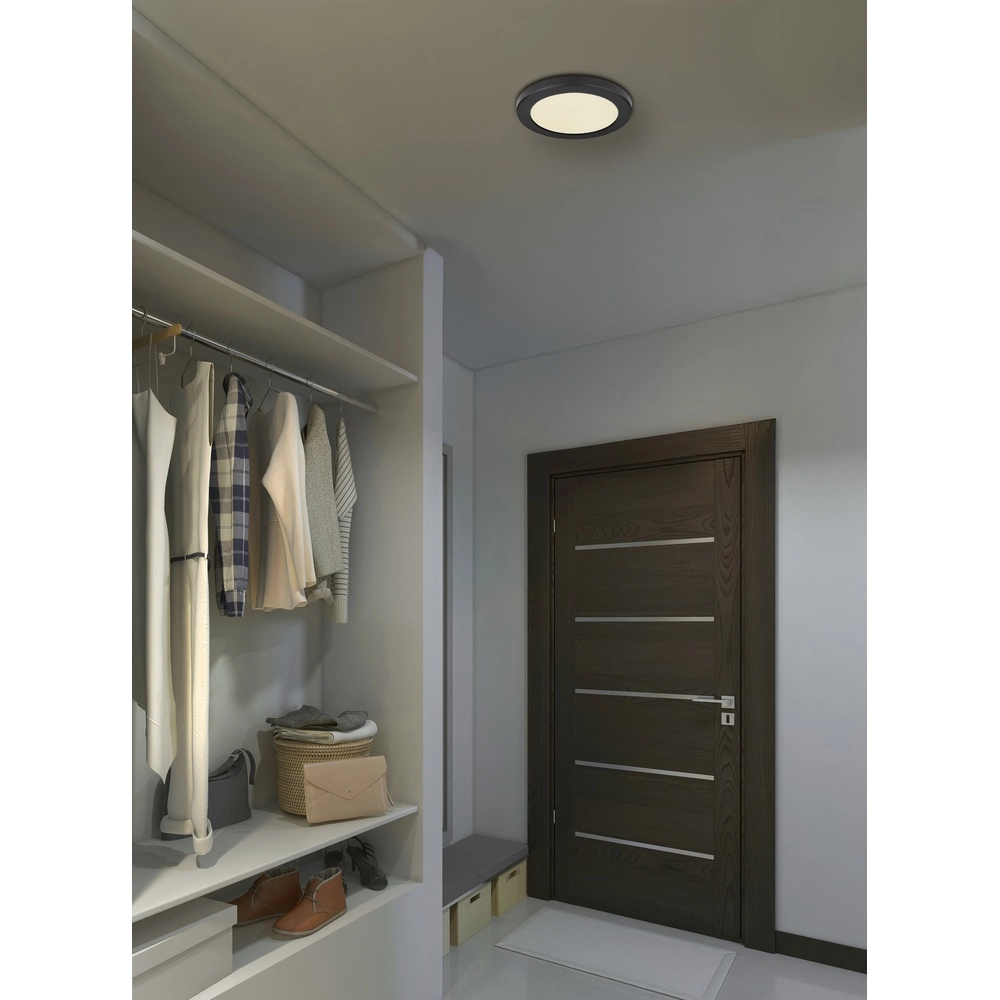 Design-Deckenlicht Lasse schwarz Ø 22 cm Globo 9007371405169