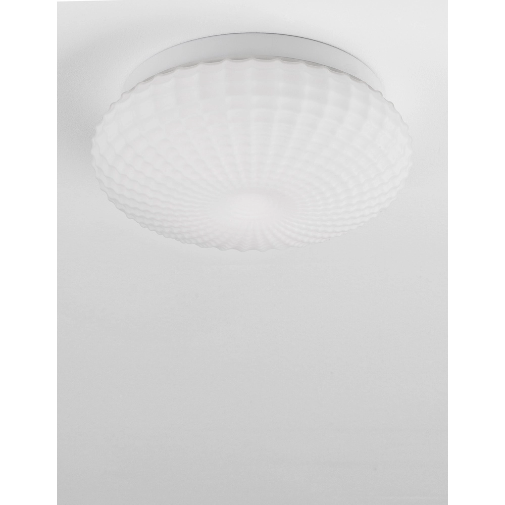 Deckenlampe Clam Weißes Glas Lyora 5212017419460