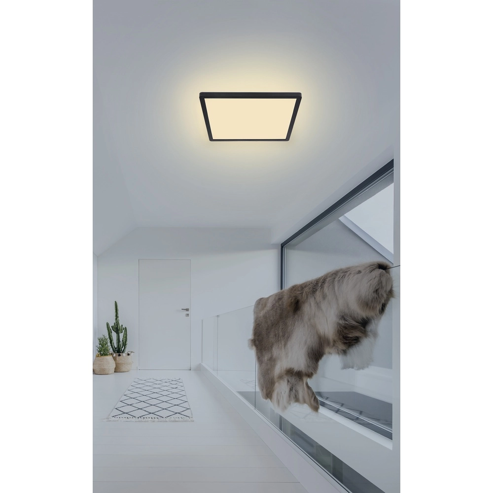 Deckenlicht Sapana Quadrat 29,4 cm Schwarz Globo 9007371414390