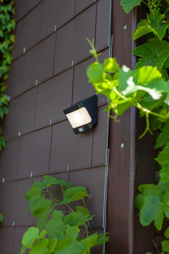 Solar wall lamp Try black Lutec 6939412011899