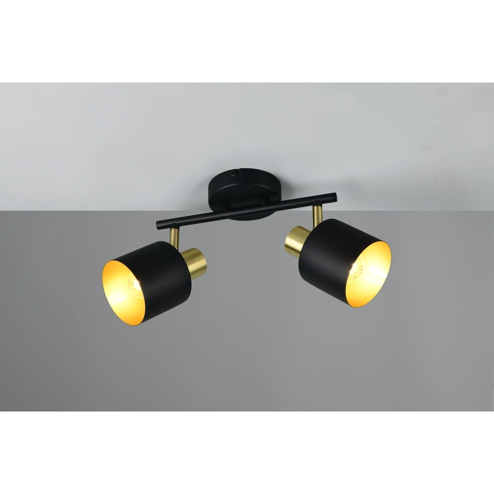 Deckenlampe Eva 2-flammig schwarz mit gold Trio 4017807654653