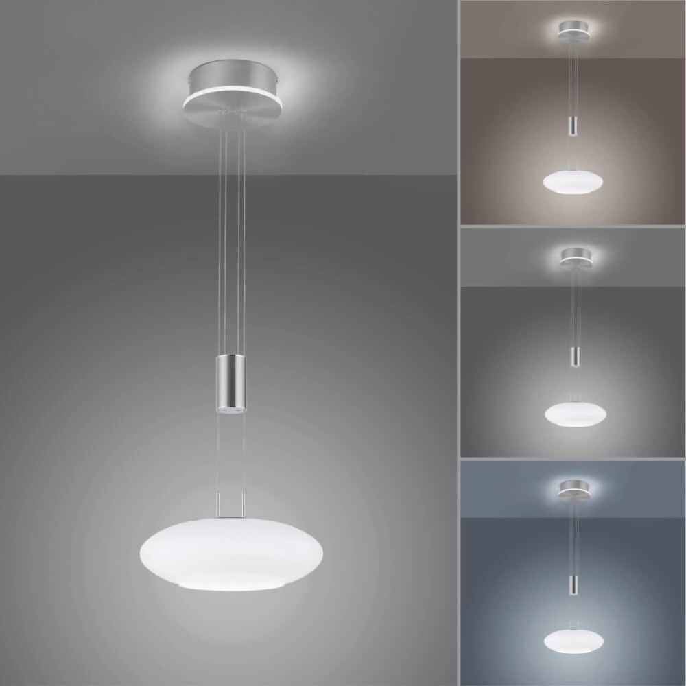 Design-Hängelampe Q-Etienne Metall Paul Neuhaus 4012248350386