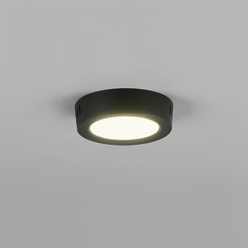 Deckenlampe Laru Ø 12 cm schwarz Trio 4017807711509