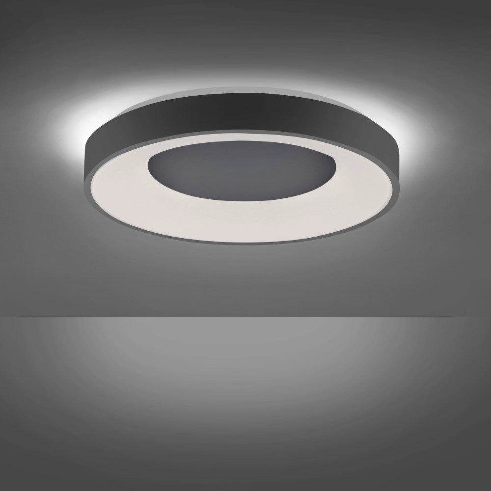 Ø 50cm Deckenleuchte Anika Just Light 4043689972851