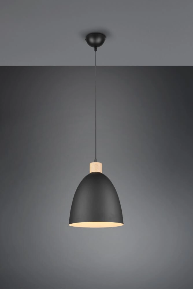 Hängelampe Jagger Schwarz mit Holzbraun Trio 4017807503197