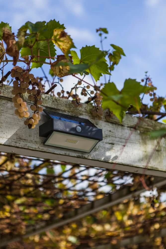 Solar wall lamp Arrow anthracite Lutec 6939412046402