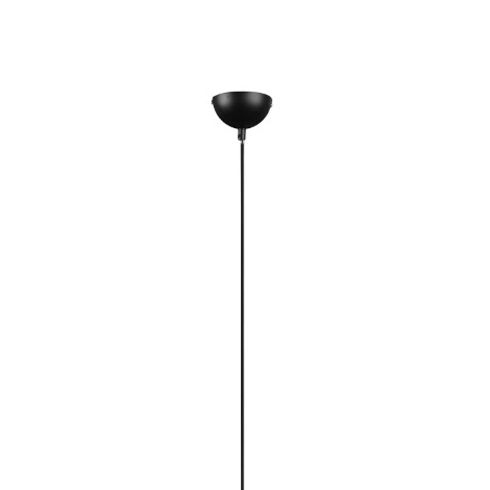 Pendelleuchte Calimero 18 cm schwarz mit holz Trio 4017807489484