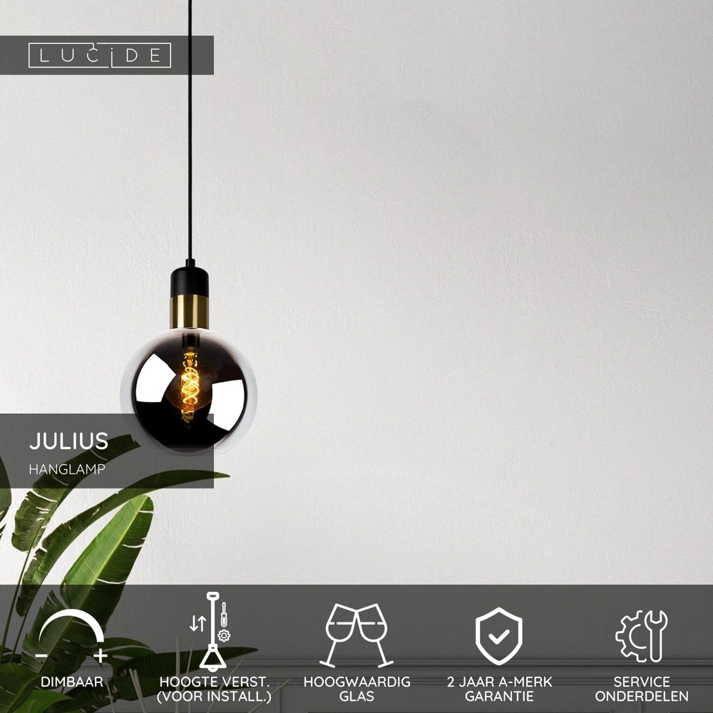 Pendellampe Julius Ø 20cm Rauchglas Lucide 5411212343321