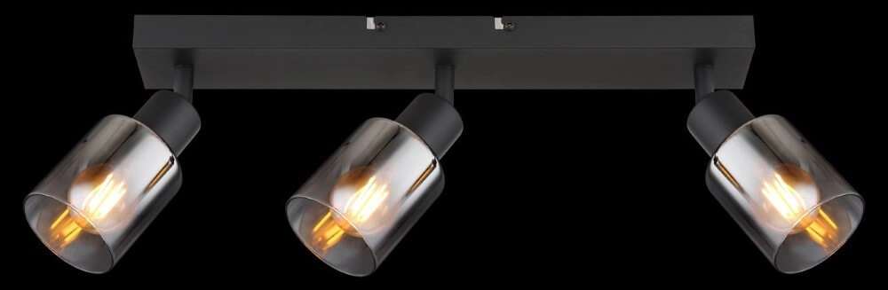 Deckenleuchte Hubertus 3-flammig Globo 9007371452019
