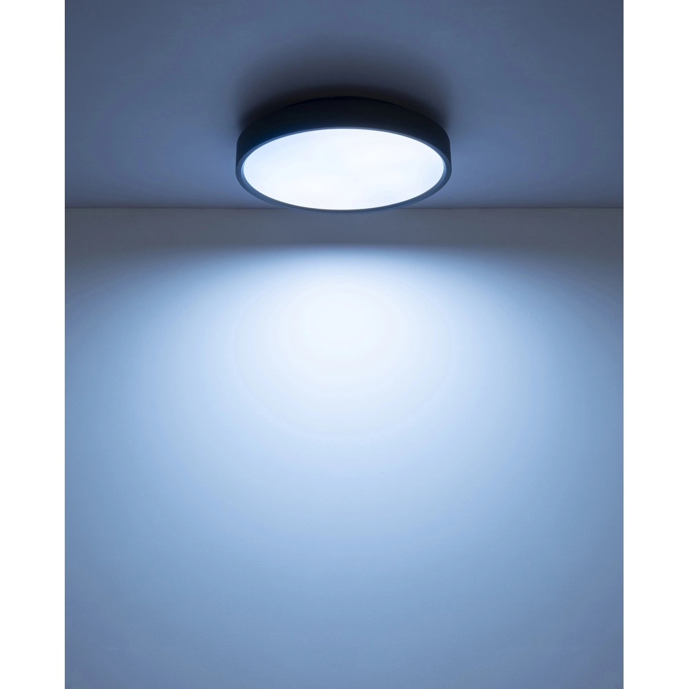 Deckenlicht Jess Schwarz Globo 9007371592470